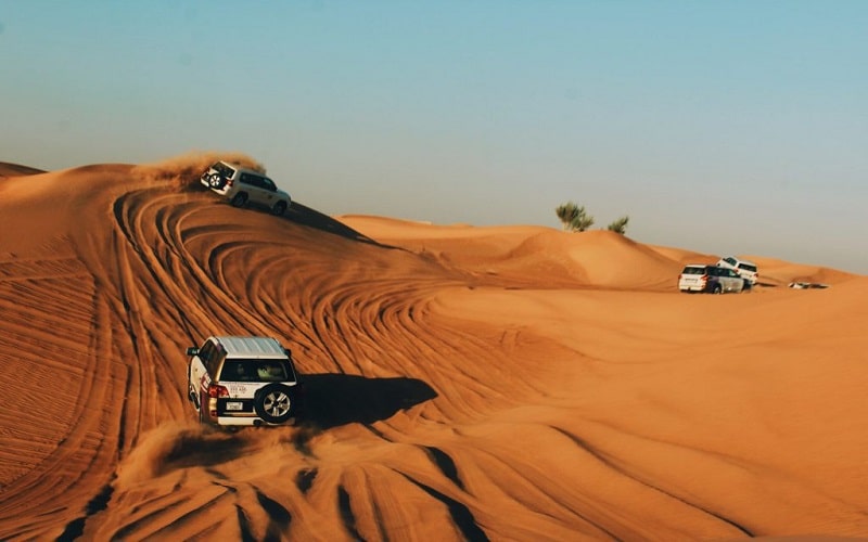 تور سافاری کیش